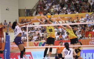 cá cược bóng chuyền trong trận đấu chuyên nghiệp