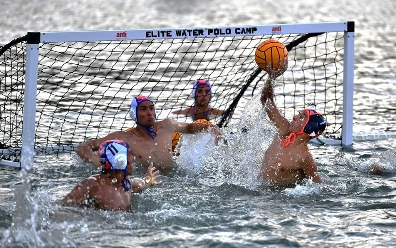 cá cược bóng nước online