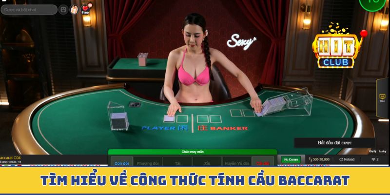 Thống kê thông số baccarat trước khi cược